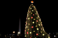 THe National CHristmas Tree (2009)