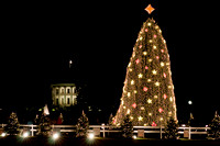 The National Christmas Tree (2009)